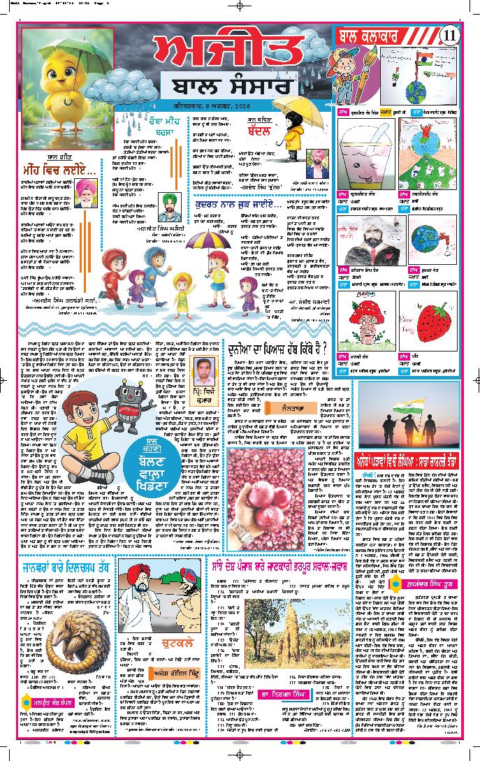 ਕਪੂਰਥਲਾ / ਫਗਵਾੜਾ - 11