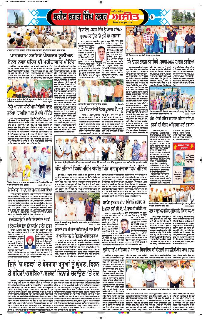 ਸ਼ਹੀਦ ਭਗਤ ਸਿੰਘ ਨਗਰ / ਬੰਗਾ - 8