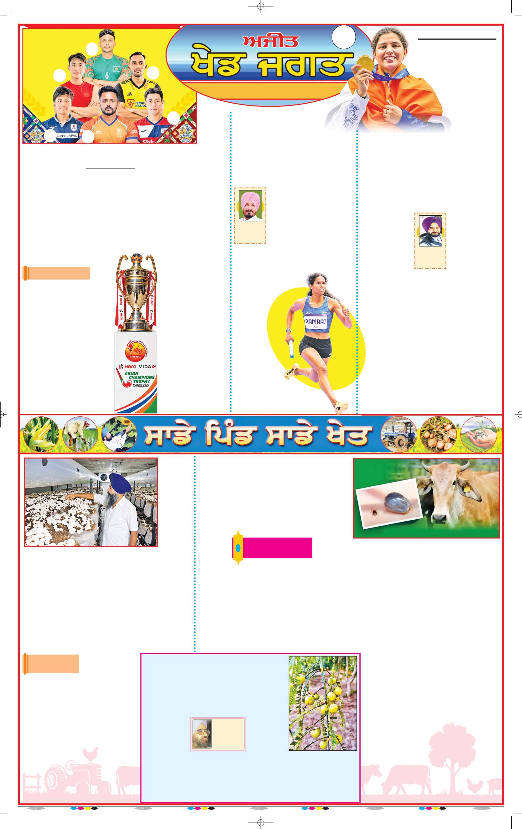 ਜਲੰਧਰ  - 11