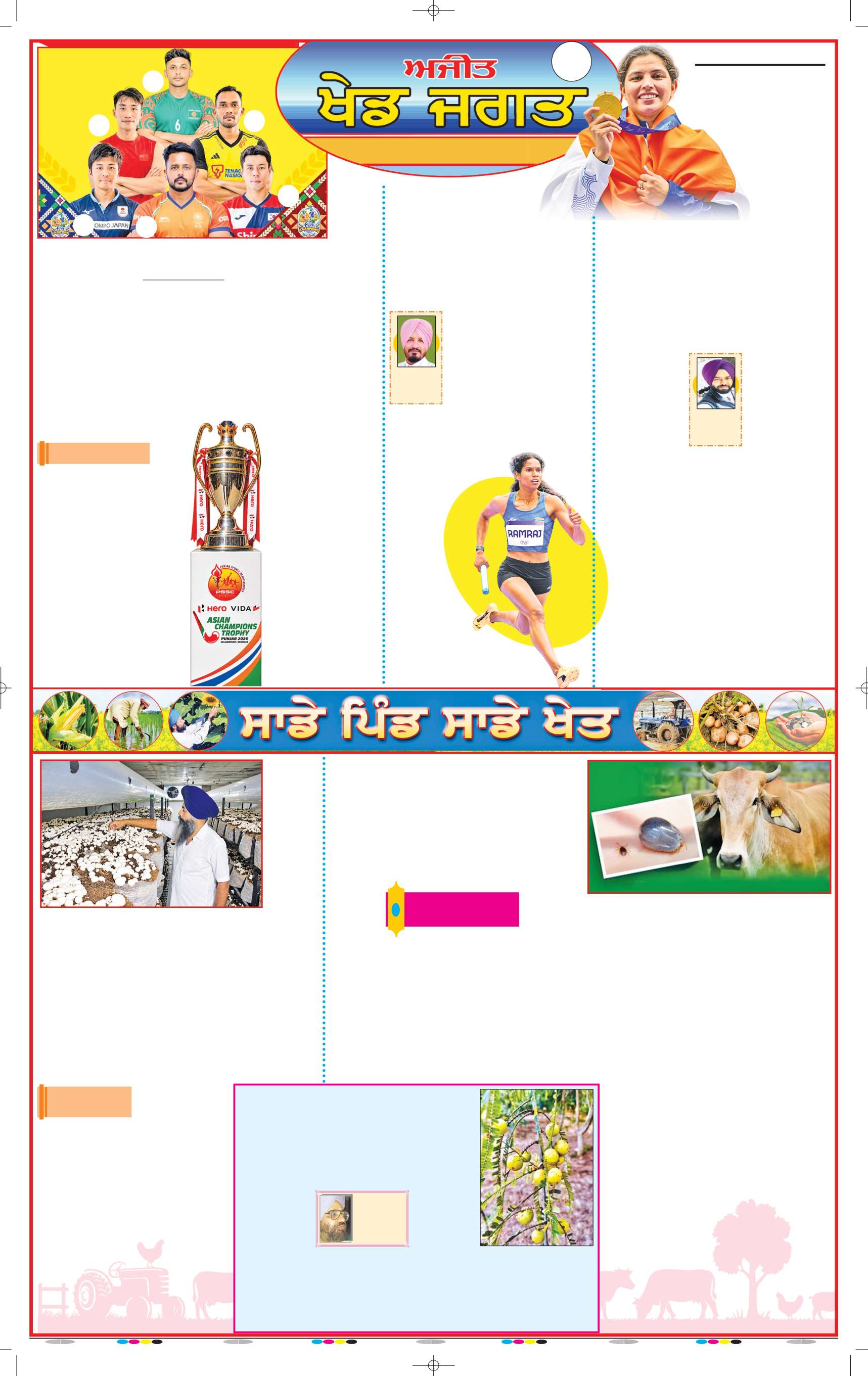 ਲੁਧਿਆਣਾ - 13